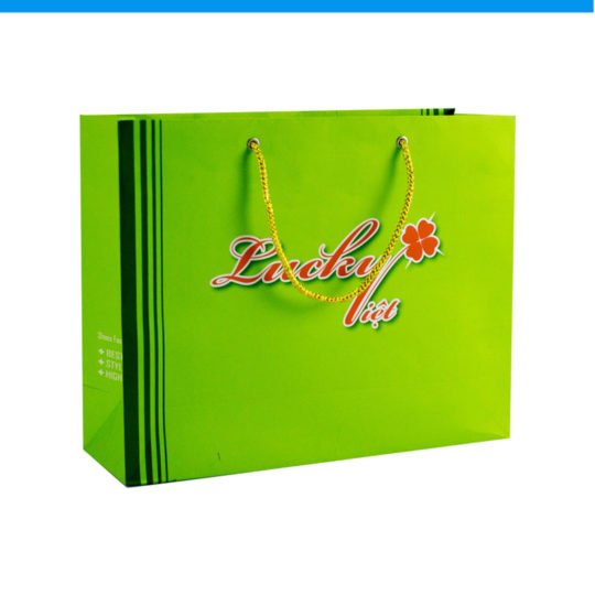 Printed Paper Bag Product Packaging in Vietnam