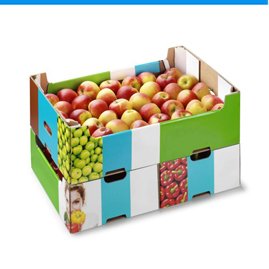fruit-packaging