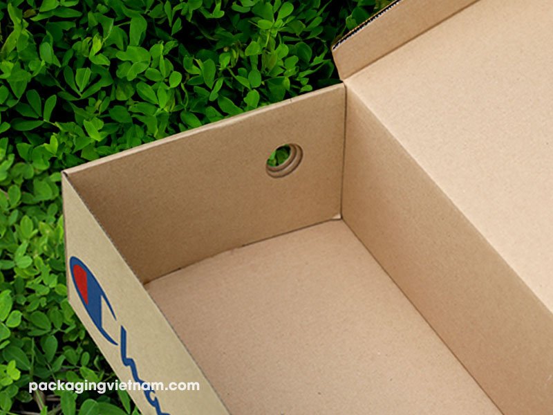 cardboard shoe box with ventilation hole (2)