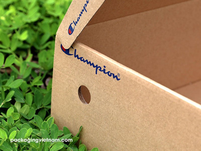 cardboard shoe box with ventilation hole (3)